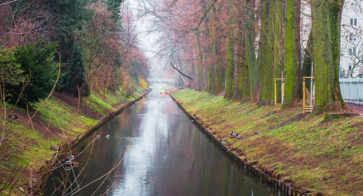 Zieleń - parki, Prace Kanałem Bródnowskim Zarząd Zieleni Warszawy zapewnia trosce naturę - zdjęcie, fotografia