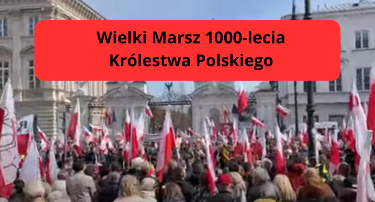 Protesty i manifestacje, Wielki Marsz lecia Królestwa Polskiego - zdjęcie, fotografia