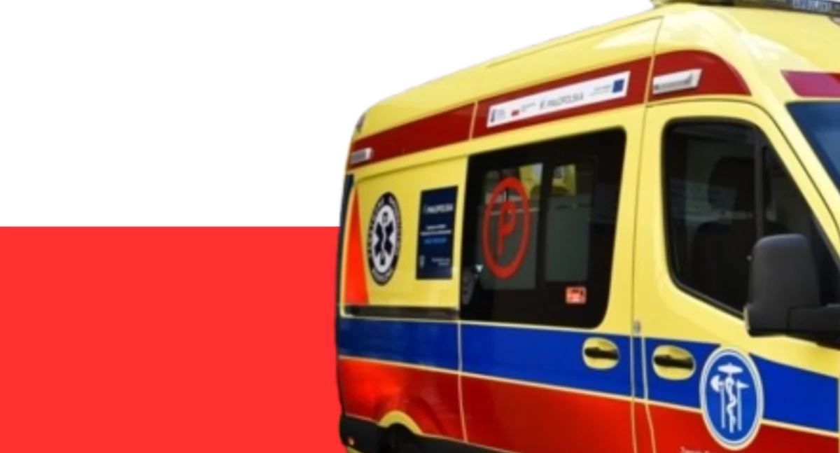 Działania służb, Państwowa Komisja Wyborcza incydentach wyborów - zdjęcie, fotografia