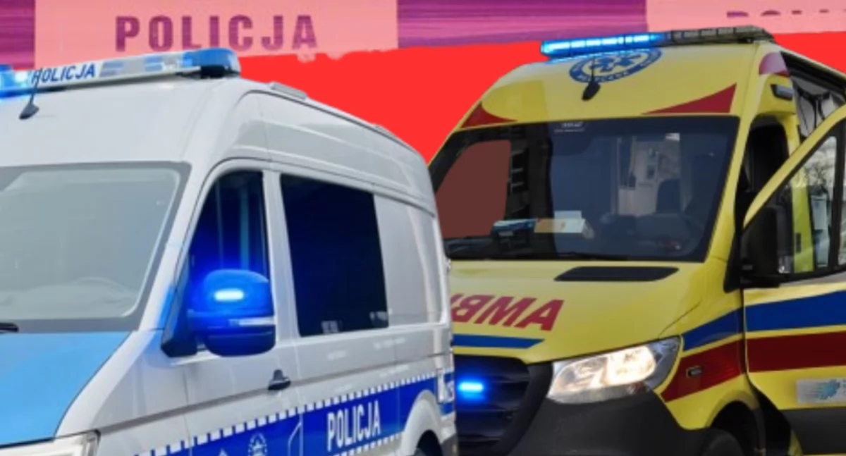 Działania służb, Tragiczne odkrycie Spacerowicz znalazł ciało - zdjęcie, fotografia