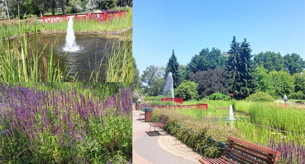 Park im. Edwarda Szymańskiego 