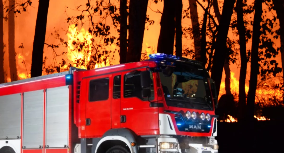 Pożary, Pożar Wawrze Było gorąco działo - zdjęcie, fotografia