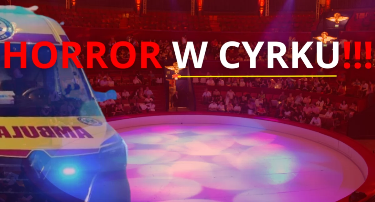 Wypadki, HORROR cyrku! Straszna śmierć oczach dzieci - zdjęcie, fotografia