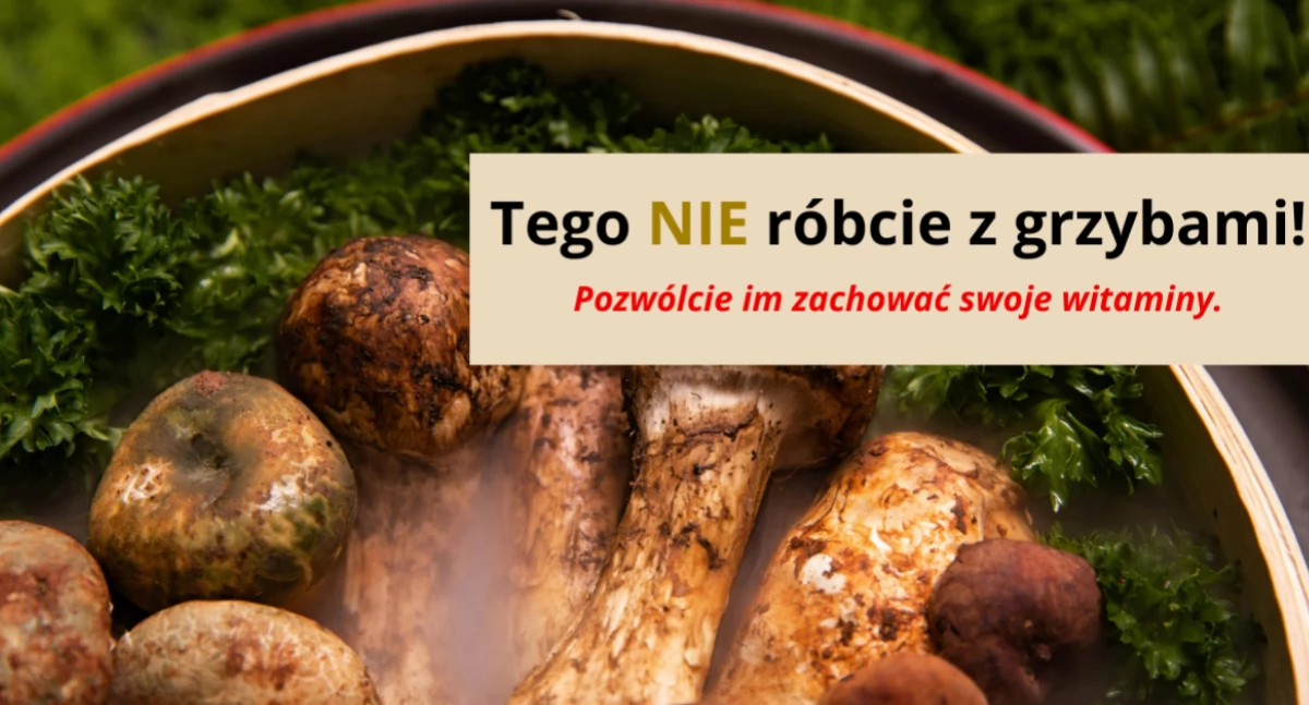 Społeczne sprawy, Grzyby ISTNY MAGAZYN WITAMIN obrabiać - zdjęcie, fotografia