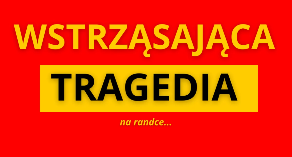 Działania służb, Tajemnicza tragedia randce Makabryczne odkrycie Wolsztynie - zdjęcie, fotografia