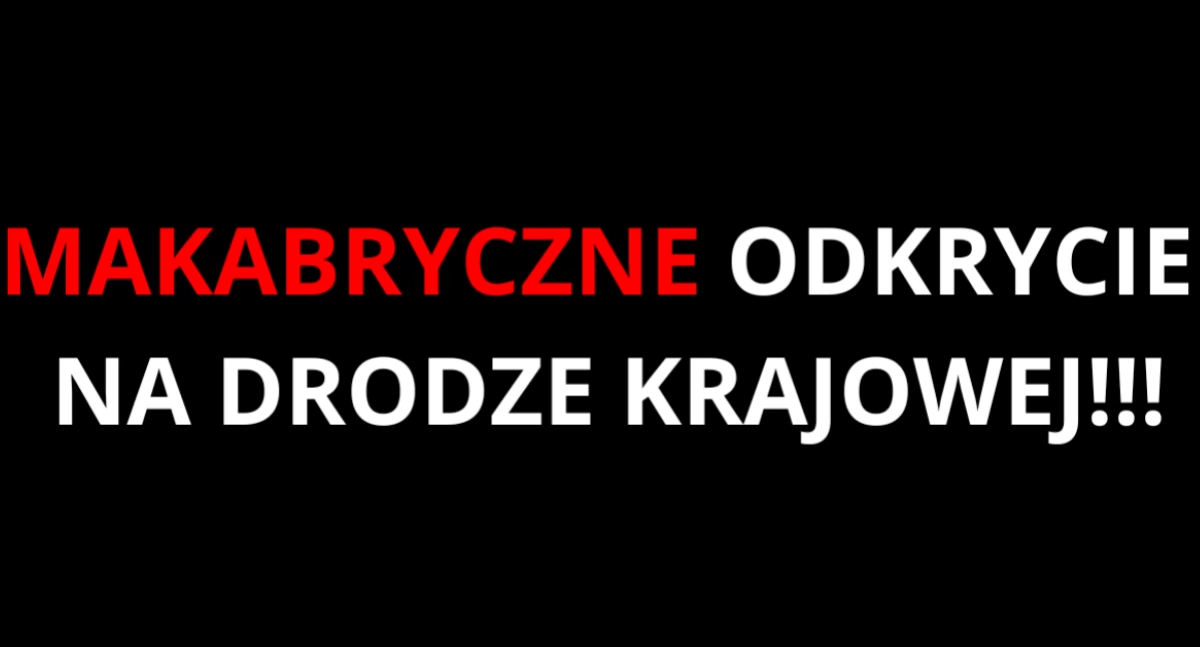 Koszmarne odkrycie na DK7 w Tarczynie. Zwłoki na środku drogi!