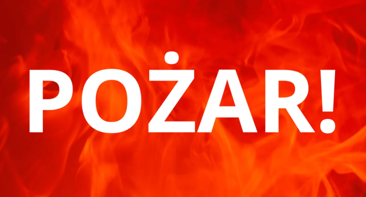 Pożar samochodów na Pradze-Północ. Czy grasuje tam podpalacz?