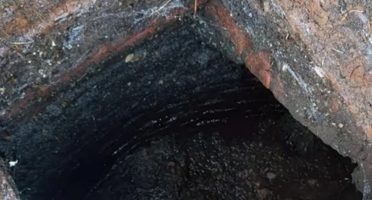 Tym razem wystarczył węch. Interwencja w Wawrze!