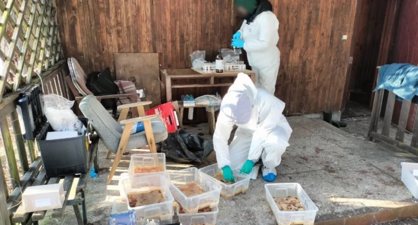 źródło: Komenda Stołeczna Policji