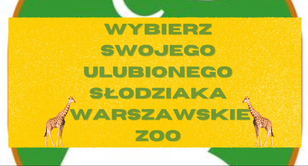 Warszawskie ZOO: Głosowanie na Zwierzaka Roku 2025.