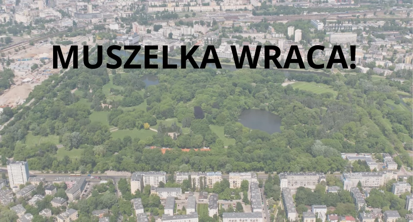 Muszla dostanie dach i drugie życie