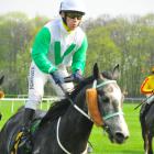 zdjęcie nr 16