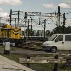 Fotka nr 1 z 81