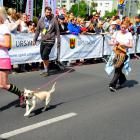 zdjęcie nr 86