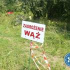zdjęcie nr 13