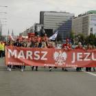 zdjęcie nr 10