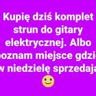 zdjęcie nr 15