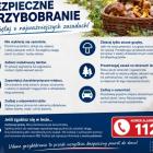 Fotka nr 1 z 2