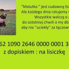 Fotka nr 3 z 4