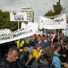 zdjęcie nr 38