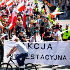 zdjęcie nr 114