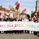 Fotka nr 2 z 138