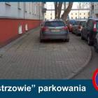Fotka nr 2 z 5