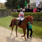 zdjęcie nr 9