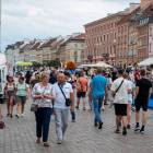 zdjęcie nr 13