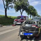 Fotka nr 1 z 2