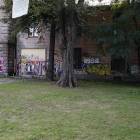 Fotka nr 4 z 8
