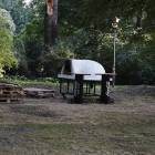 Fotka nr 1 z 11