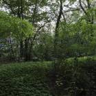 zdjęcie nr 7