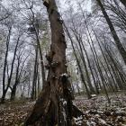 zdjęcie nr 46