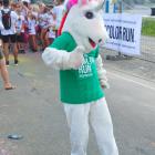 zdjęcie nr 53