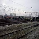 Fotka nr 2 z 15