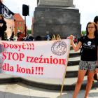 zdjęcie nr 34