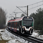 zdjęcie nr 11