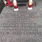 zdjęcie nr 23