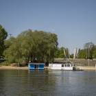 zdjęcie nr 40