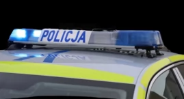 KRWAWA JATKA na ogródkach działkowych! AKCJA na Mokotowie