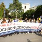 Fotka nr 0 z 139