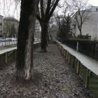 Fotka nr 5 z 7