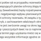 Fotka nr 2 z 3