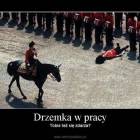 Fotka nr 1 z 7