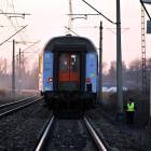 Fotka nr 5 z 15
