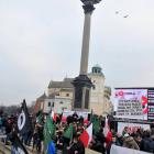 zdjęcie nr 18