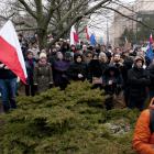 zdjęcie nr 24