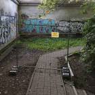 Fotka nr 1 z 10