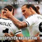 zdjęcie nr 19
